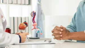ED treatment. Two people sit across a desk, with anatomical models of male reproductive organs and a brain on the table, suggesting a medical consultation.